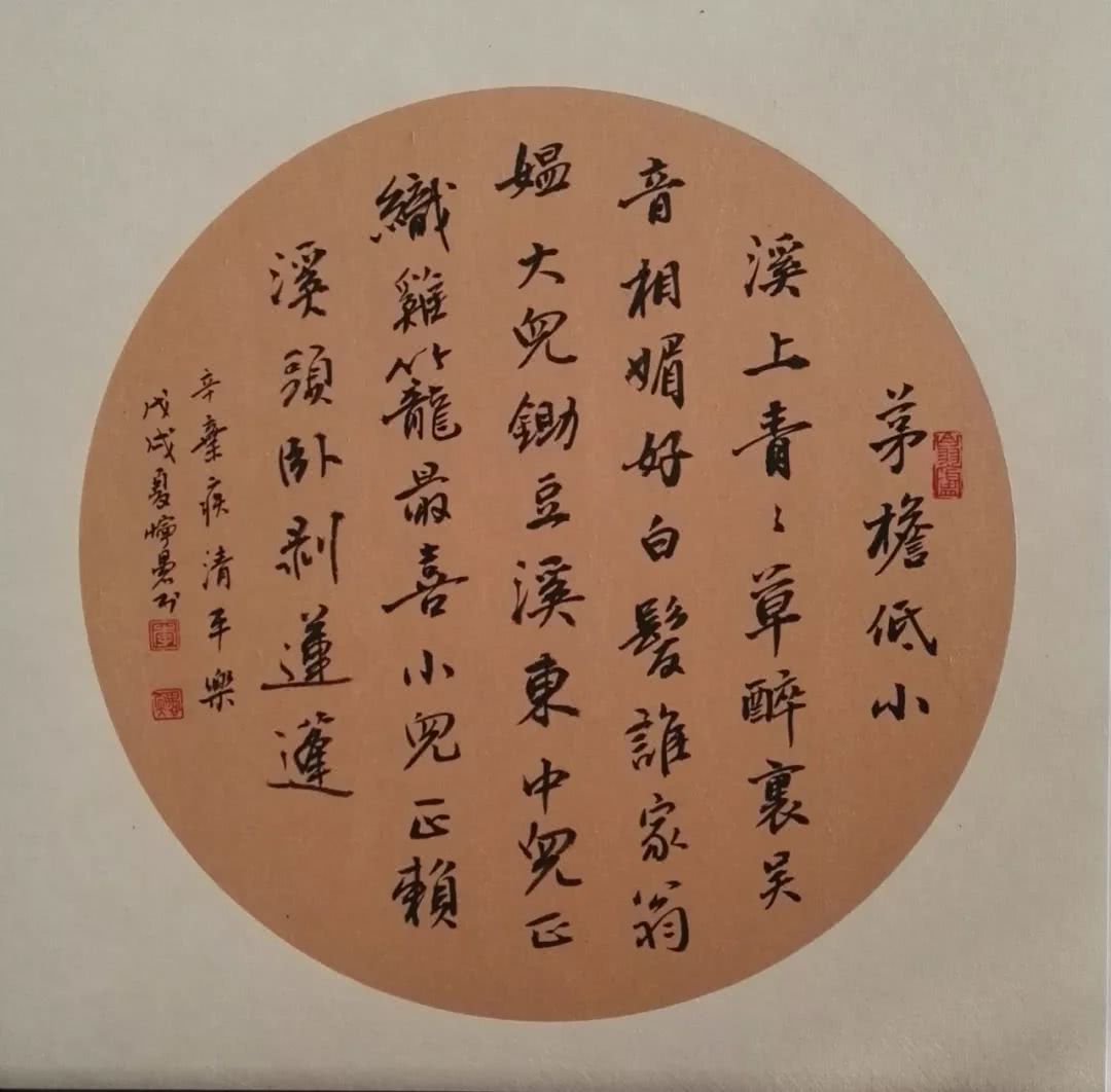 《中国诗词大会》第五季第三场:向芝谊攻擂!