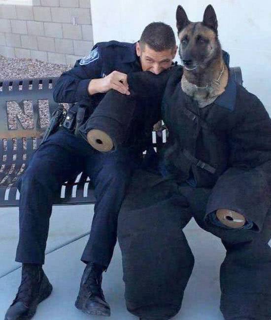 6park Com 别看警犬表面威风 其实背地里也经常卖萌撒娇