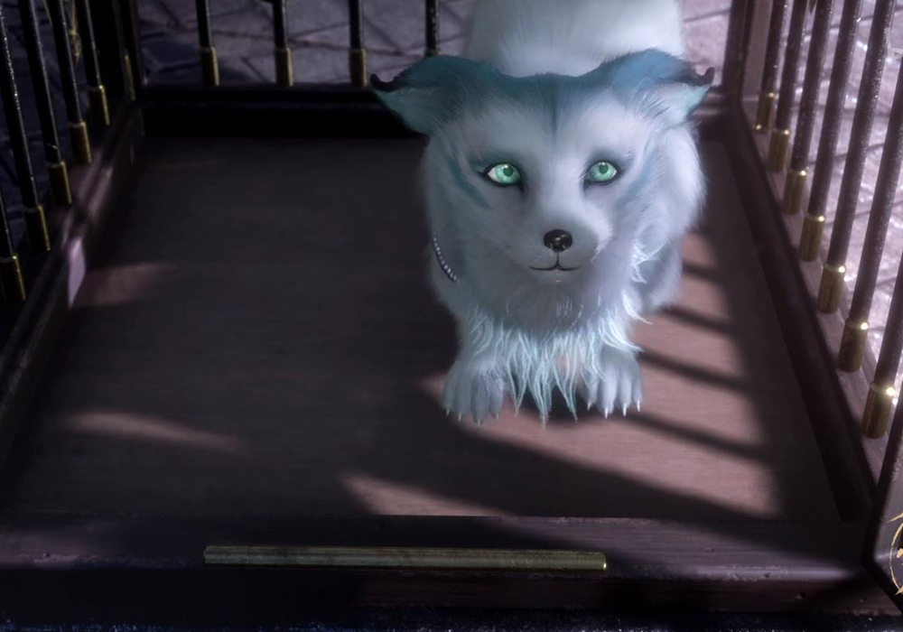 《天宝扶摇录》狐妖考生被烧,团建又去倚诗栏,鸿俊躲背后好甜!