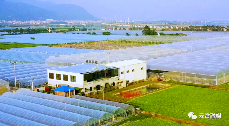 云霄县绿州蔬菜基地荣登国家现代农业科技示范展示基地榜单