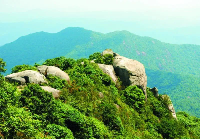 客家名山,国家级森林公园——王寿山