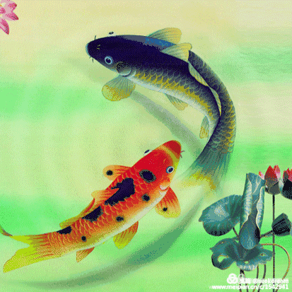 如果我是鱼,而你是水, 我可以游入你的心里吗?