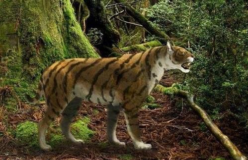 远古时期,有没有专门以原始人类为食的动物?