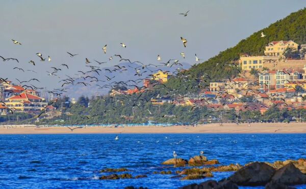 购房款支付起风波，青岛英格堡家园业主与开发商青岛中能“公堂对簿”