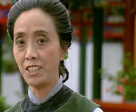 贾府,贾宝玉,王善保