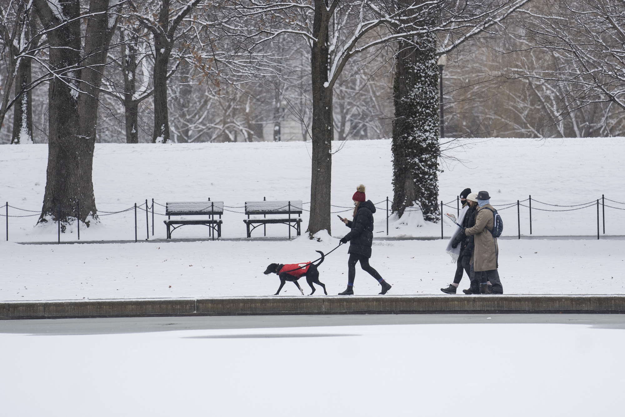 美国,得州,得克萨斯州,暴风雪