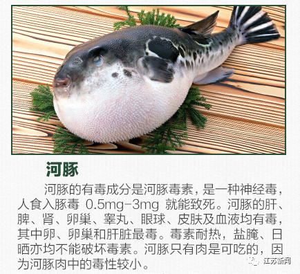 河豚,常州市公安局