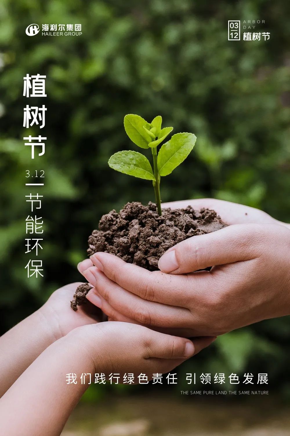 植树节|践行绿色责任,引领绿色发展