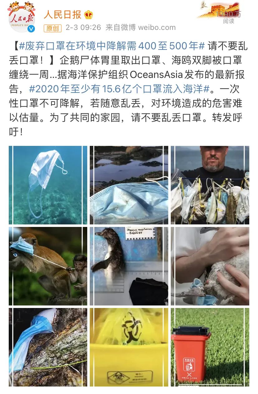 企鹅体内发现完整n95,超15亿只废弃口罩都流向海洋……-看点快报