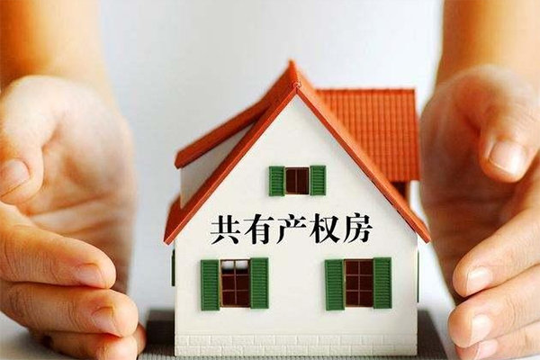 详解共有产权房:共有产权房的利弊