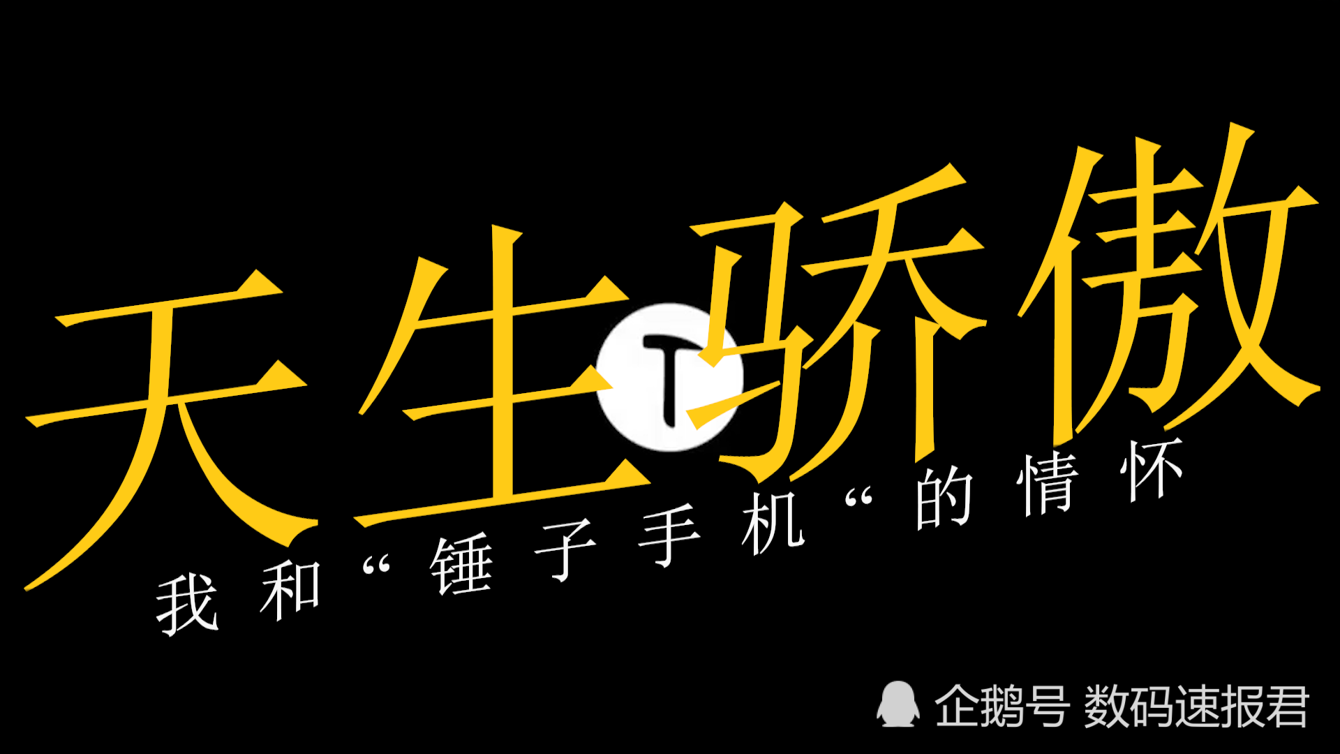 天生骄傲,我和锤子手机的情怀