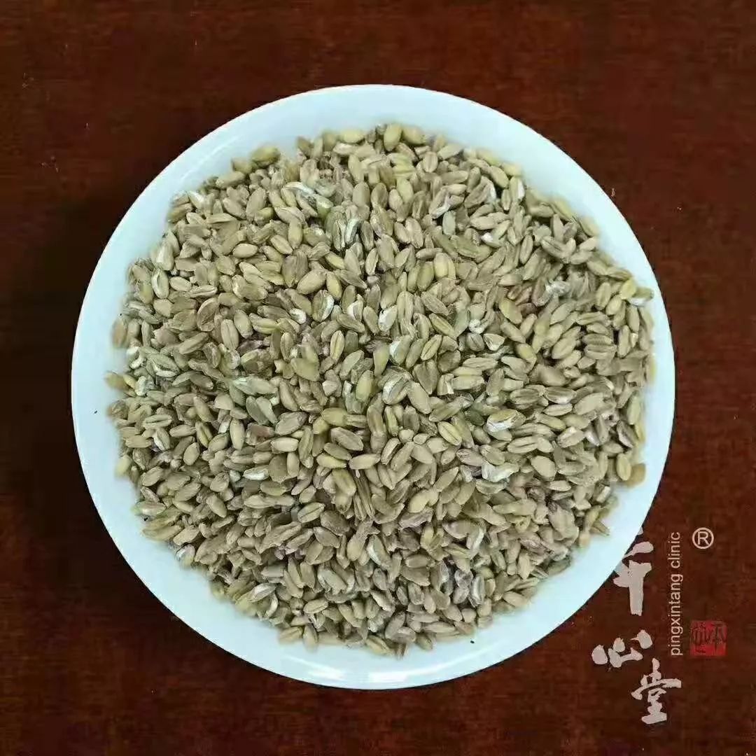 【每日一药】小麦