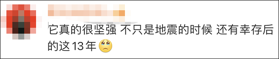 14岁高龄“猪坚强”离世，遗体已被冰冻