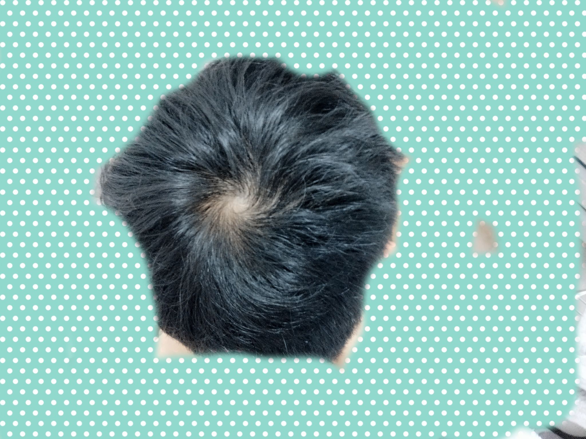 孩子头顶有两个旋到底代表啥看完你就明白了