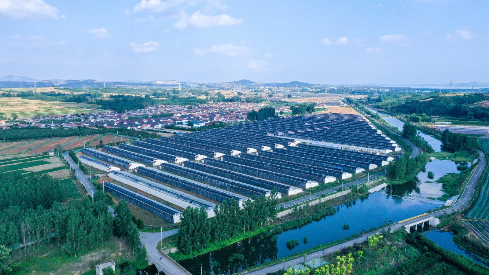 东港区获批建设日照国家农业科技园区