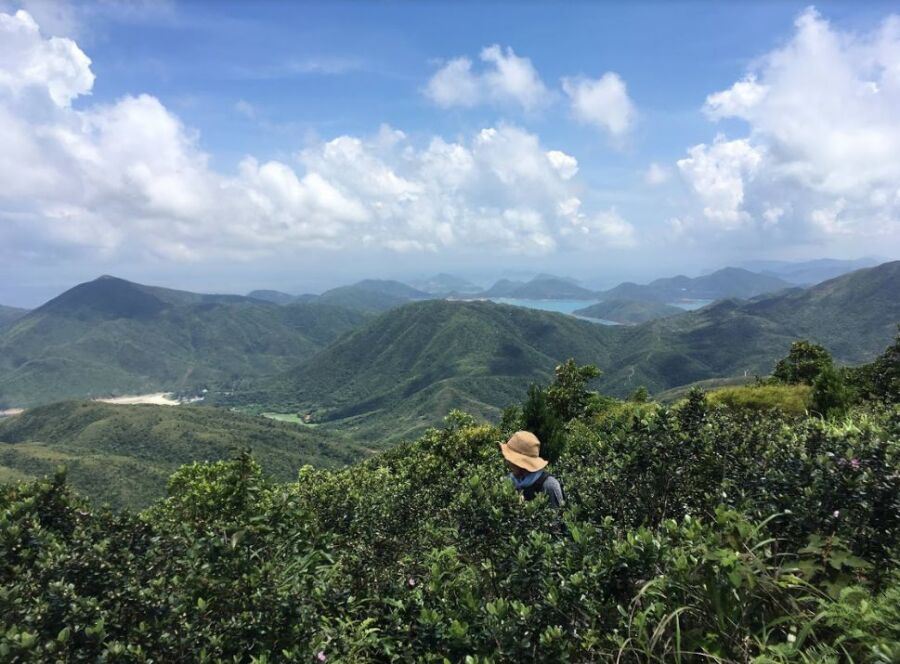 QQ浏览器
