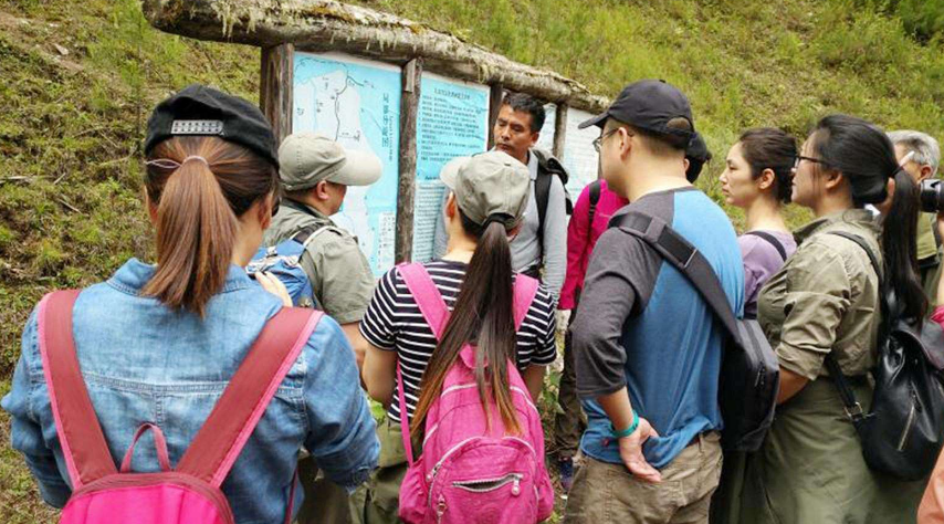 旅行社,导游,出境游,旅游业,跟团