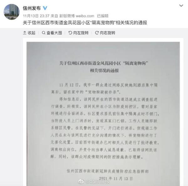 主人隔离期间宠物狗被处置，涉事工作人员已被调离岗位并诚恳道歉