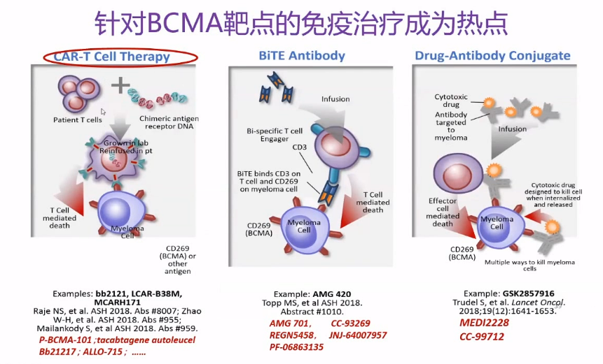 美国fda目前已经批准4种单抗类药物治疗mm,包括2015年获批的达雷妥尤