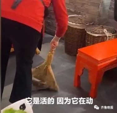 武汉谭鸭血火锅店天降老鼠砸中食客，员工淡定扫走，公司发表致歉声明