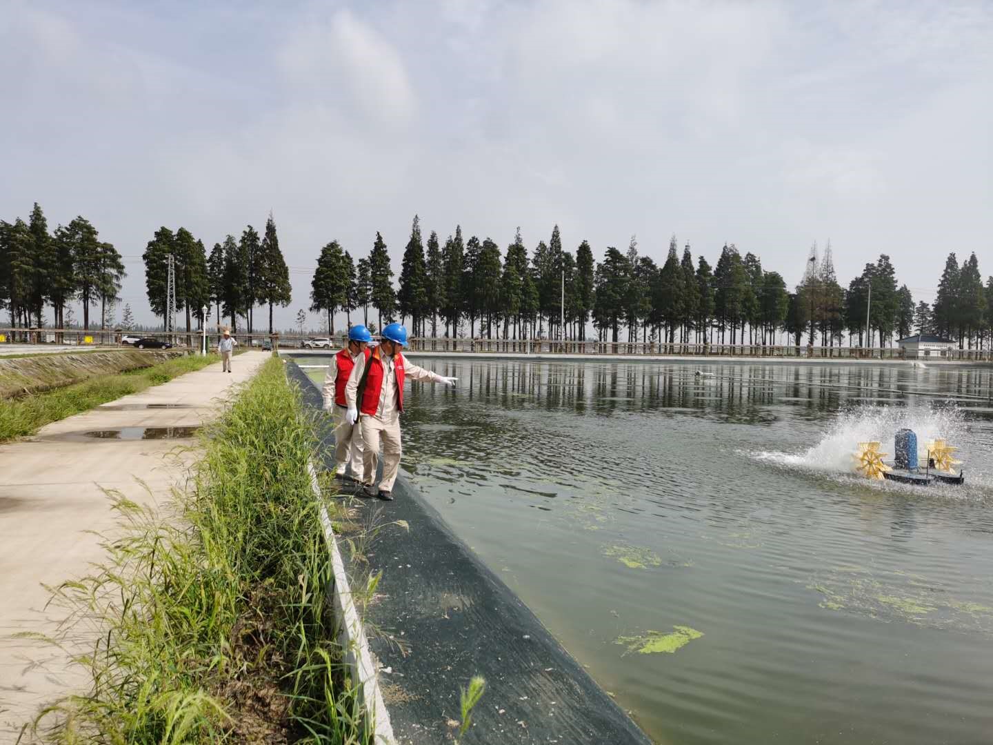 高淳,螃蟹,砖墙,供电所,砖墙镇,蟹塘,高淳区,南京,固城湖