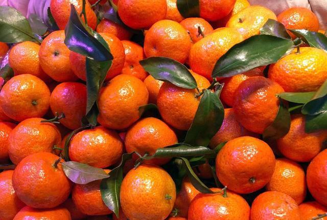 砂糖桔吃太多皮肤会变黄 具体是什么原因 听听教授怎么说