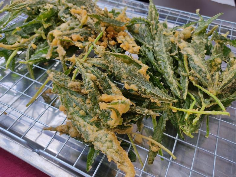 要来一点快乐吗 泰国医院竟推出黑皮大麻餐