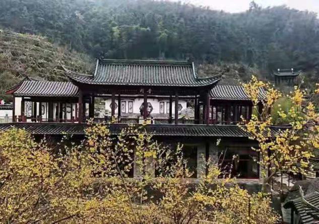 南昌湾里太阳谷梅花绽放成百上千株,游人如织好不热闹!