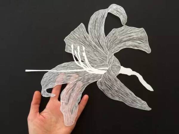 姑娘坚持一个创意,秉承着一份意念,用自己的奇思妙想为白纸赋予生命.