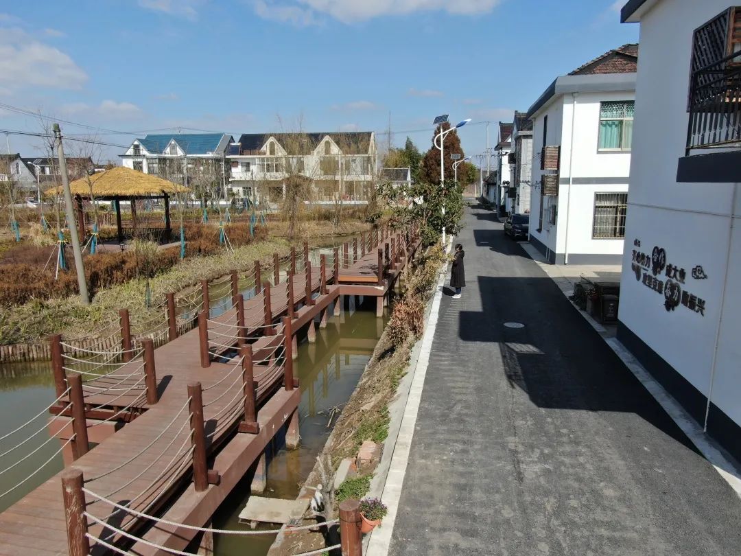 崇明区网站建设价格行情_(崇明区网站建设价格行情公示)