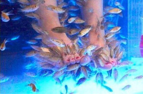 女子为了放松去做鱼疗 没成想却把自己送进了医院
