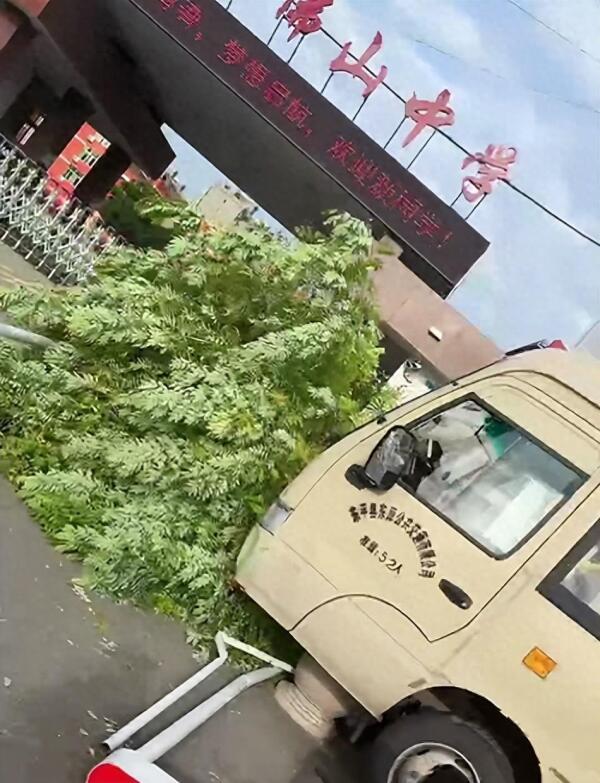 山东交通事故介绍及其启示-GOGO社区