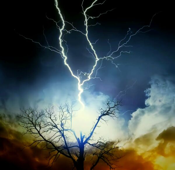 科普“雷击木”：能量得天地之正气...