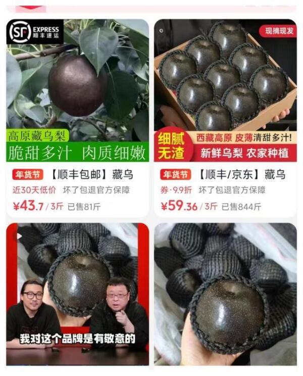 央视辟谣“藏乌梨”，别听营销号胡说八道了，其实就是人工染色！