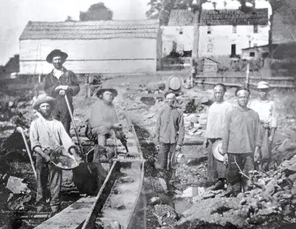 《唐探1900》火爆背后：华人劳工“卖猪仔”血泪史，看完泪目……