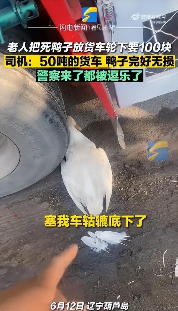 大妈把死鸭子塞车轮下碰瓷货车司机索要100元